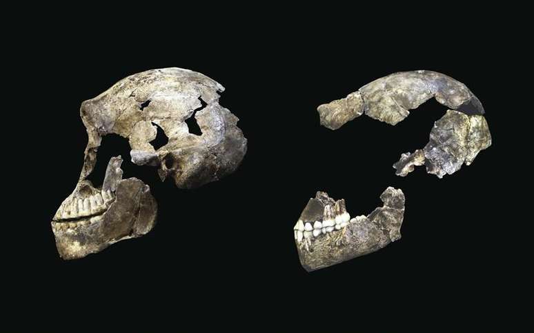 Imagem compara o crânio de um homo naledi descoberto em 2013 (dir.) com outro encontrado recentemente.