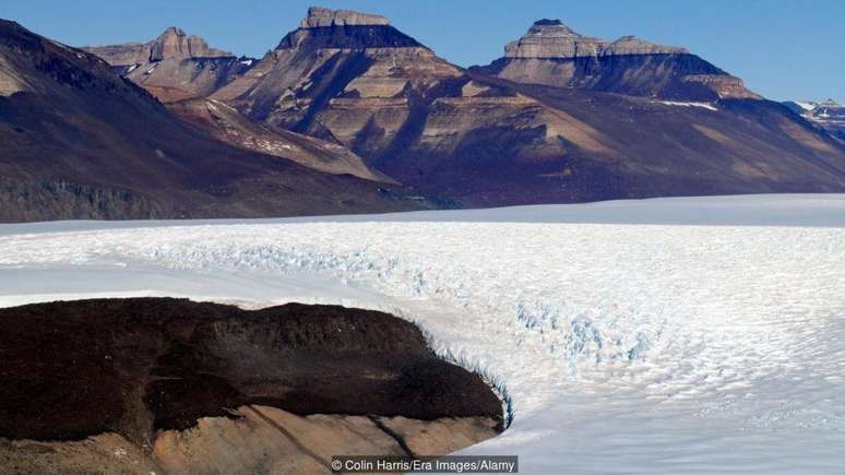 Bactérias dormentes foram encontradas em geleiras antárticas