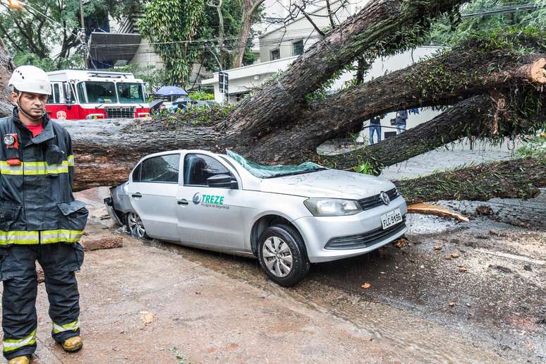 Queda de árvore de grande porte na rua Itapeva, no bairro da Bela Vista