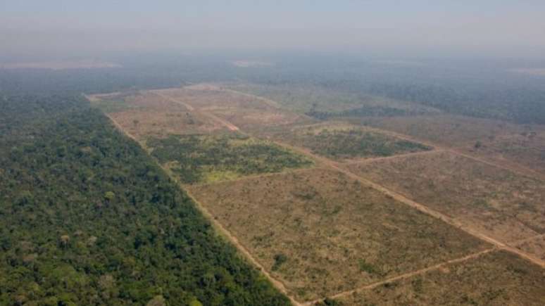 A Floresta Nacional do Jamanxim fica no sudoeste do Pará, uma das regiões amazônicas mais afetadas pelo desmatamento ilegal nos últimos anos 