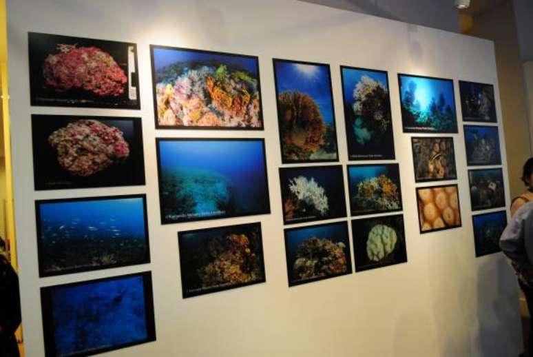 A exposição Rede Abrolhos: Monitorando o Maior Complexo Coralíneo do Atlântico Sul faz parte das comemorações do aniversário do Jardim Botânico