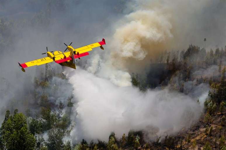 Avião combate incêndio florestal em Portugal