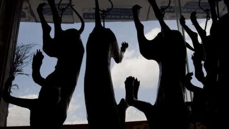 Cães mortos à venda em festival