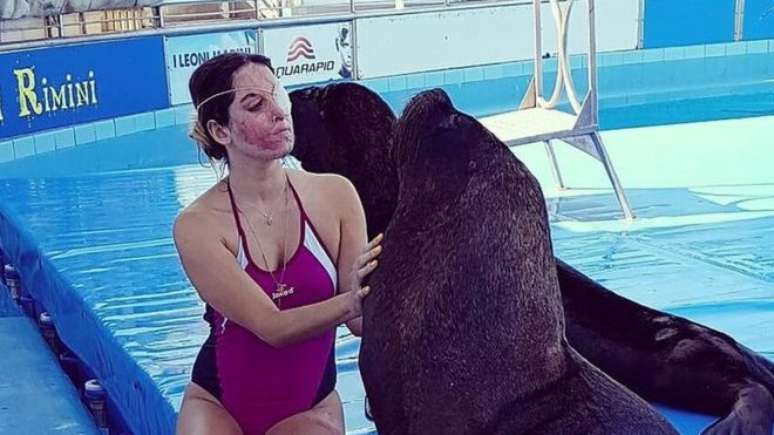 Em texto no Facebook, Notaro diz que os leões marinhos deram força a ela após o trauma