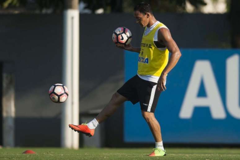 Ricardo Oliveira tem 17 jogos na temporada (Foto: Ivan Storti / Santos FC)