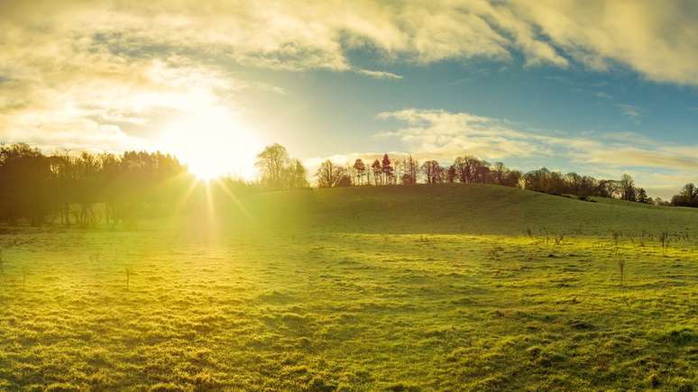 Campo em dia de sol