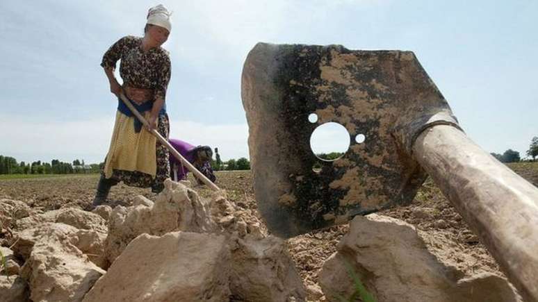 Mulher trabalha em campo no Uzbequistão