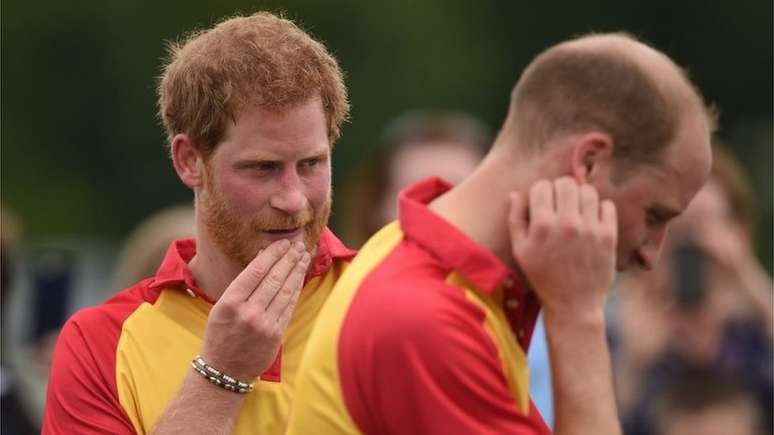 Harry e William, que têm 32 e 35 anos respectivamente, dizem querer manter o legado da mãe vivo através de seu trabalho 