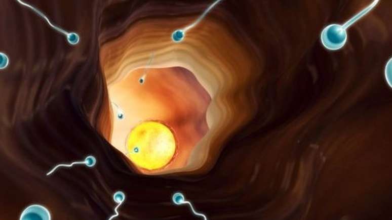 Ilustra&ccedil;&atilde;o de espermatozoides a caminho do &uacute;tero