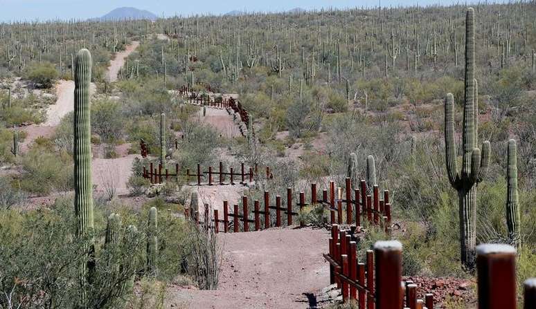 Barreira para veículos na fronteira entre EUA e México perto de Saguaro, em reserva florestal no Estado do Arizona 06/04/2017 REUTERS/Rick Wilking