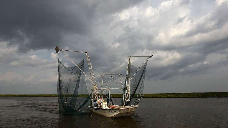 Expansão da 'zona morta' no Golfo do México afeta a atividade pesqueira na região 