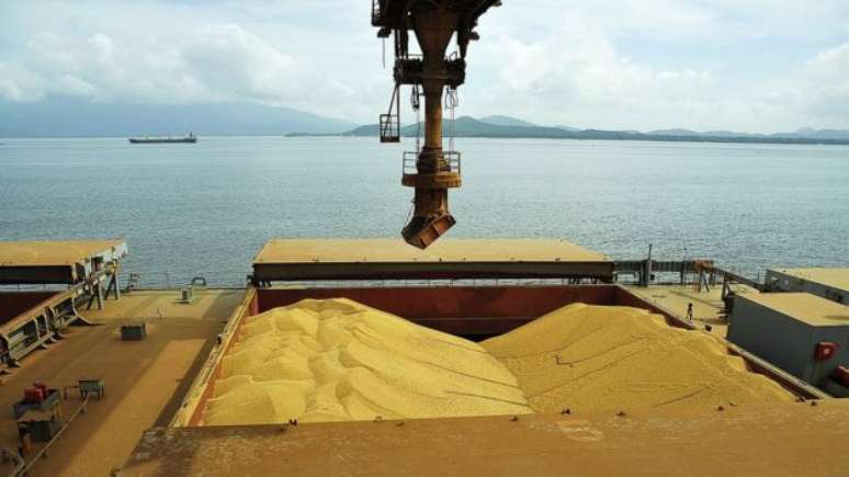 L&iacute;der na gera&ccedil;&atilde;o de vagas no primeiro semestre, a agricultura privilegia contratos tempor&aacute;rios 