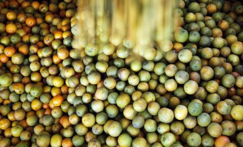 Laranjas são carregadas em caminhão em fazenda em Limeira 13/01/2012REUTERS/Paulo Whitaker
