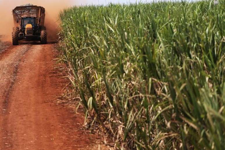 Trator transporta cana de açúcar em plantação em Ribeirão Preto, Brasil
15/9/2016 REUTERS/Nacho Doce