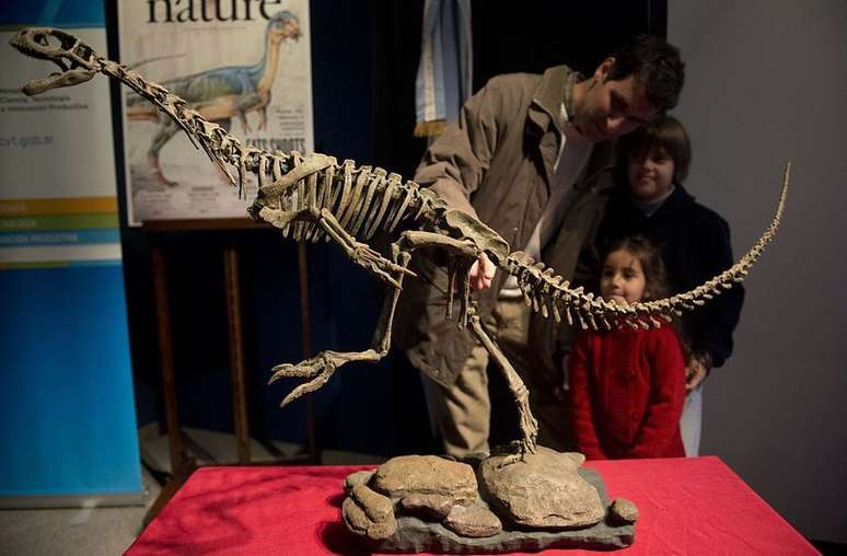 Do tamanho de um cachorro grande: o chilesaurus foi descoberto na América do Sul 