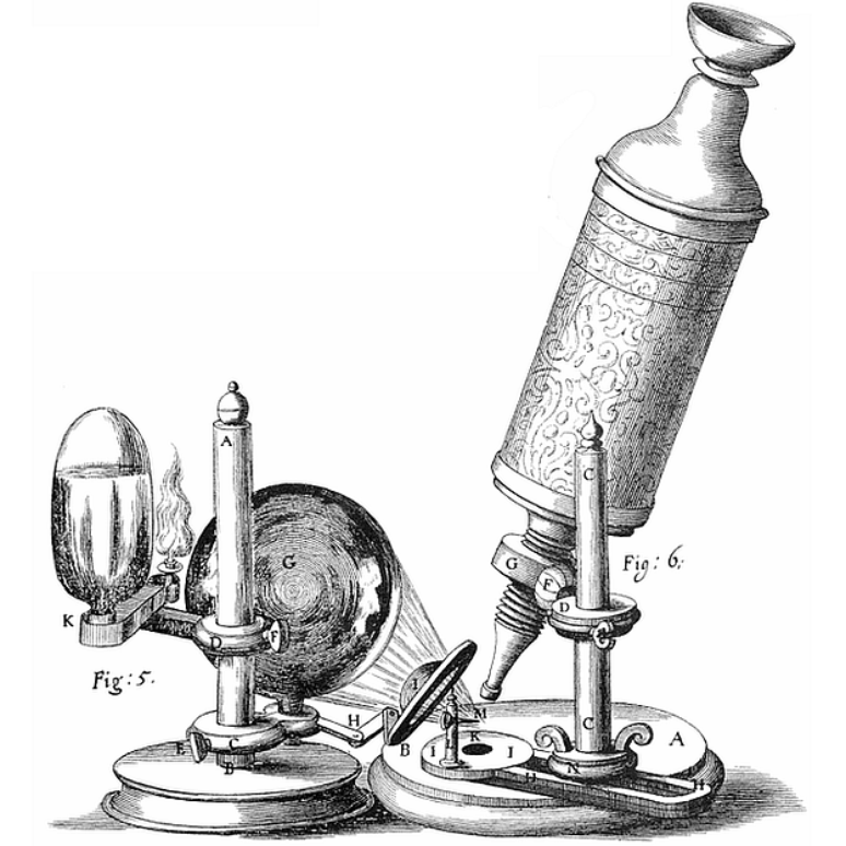 Hooke também explicou como usar o microscópio. 