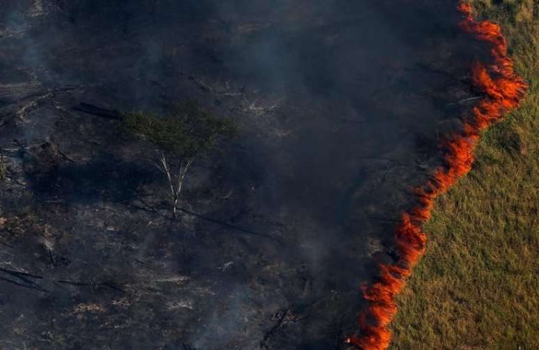 Chamas queimam floresta em Apu&iacute;, no Amazonas 04/08 REUTERS/Bruno Kelly