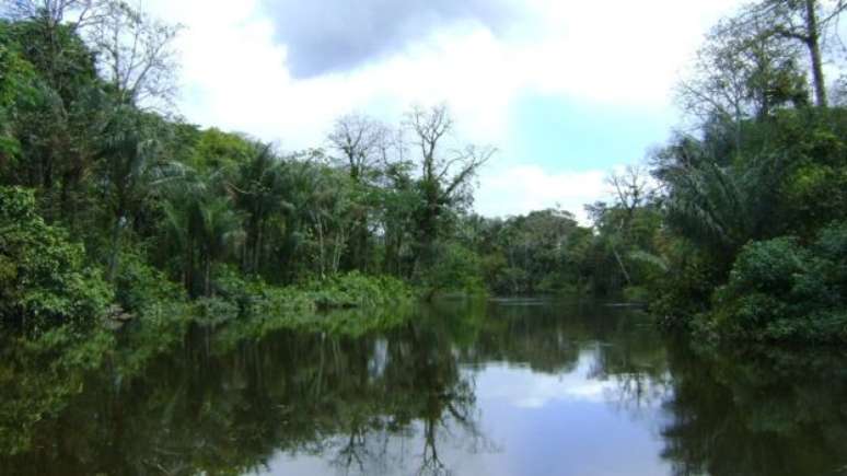 Um dos acessos à Reserva do Rio Iratapuru, no Amapá, parte da Renca 