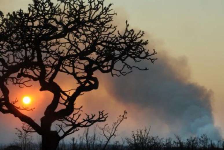 O calor intenso e a umidade baixa deixou a região em estado de alerta.