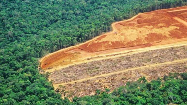 Área desmatada na Amazônia