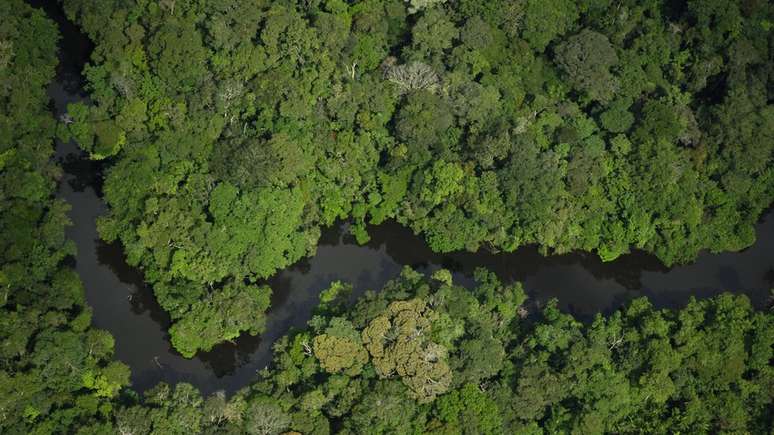Reserva na Amazônia