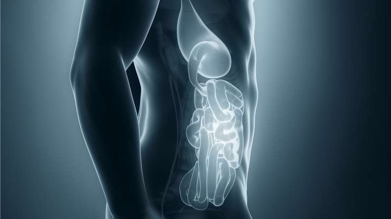 Ilustração que mostra o sistema digestivo iluminado