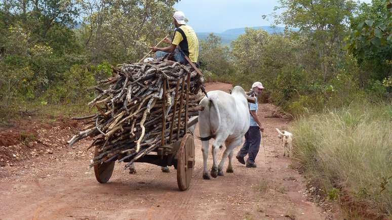 Segundo Scariot, um dos objetivos do programa &eacute; "empoderar as comunidades locais e contribuir para a reorganiza&ccedil;&atilde;o do territ&oacute;rio, conservando as nascentes e tornando-as mais resilientes &agrave;s mudan&ccedil;as clim&aacute;ticas"