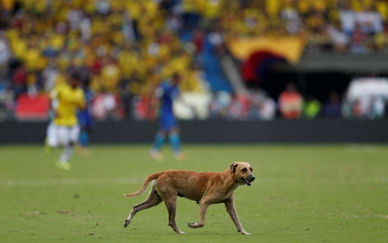 Um cachorro invadiu o campo no primeiro tempo e deu bastante trabalho até deixar o gramado