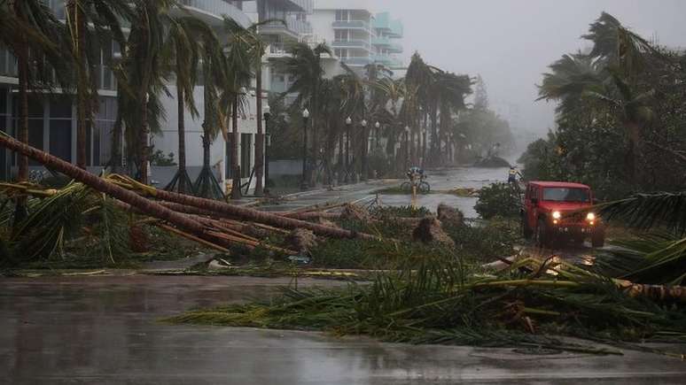 Carro passa por palmeiras derrubadas em Miami
