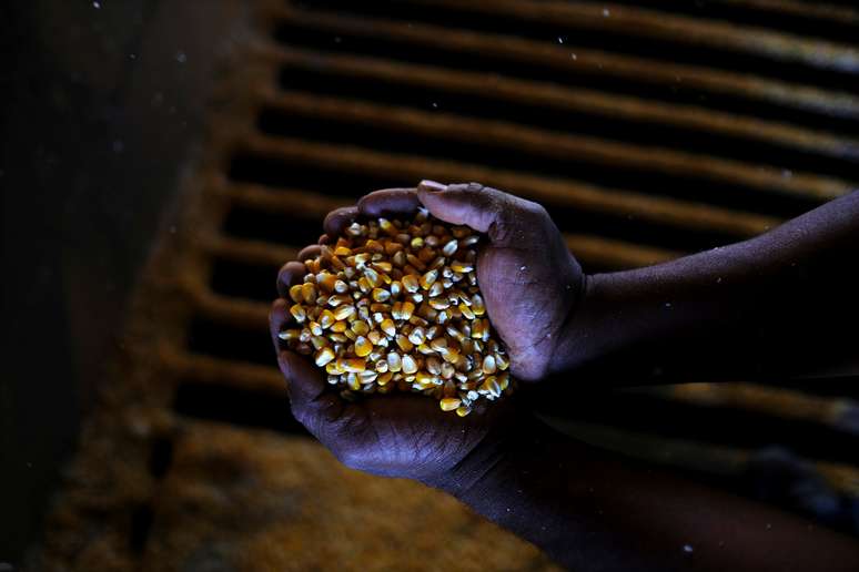 Homem mostra milho da segunda safra após colheita perto de Sorriso, no Estado do Mato Grosso, Brasil 26/07/2017 REUTERS/Nacho Doce