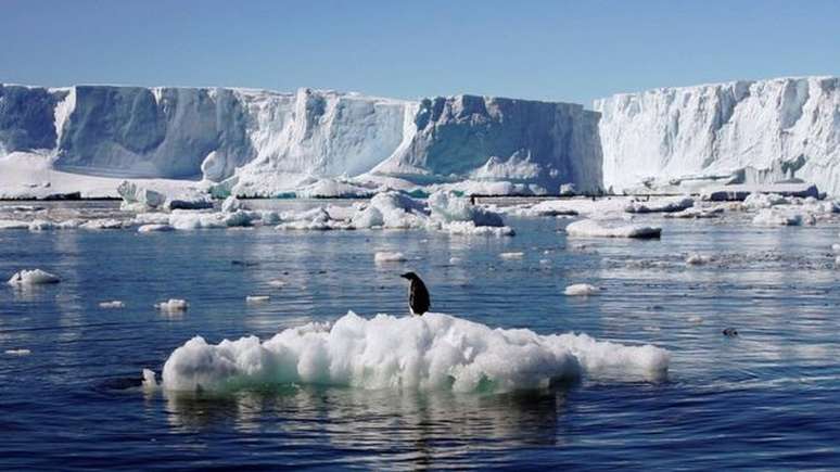 A maioria dos res&iacute;duos de DNA encontrados pertencem a esp&eacute;cies de animais que vivem em outras partes da Ant&aacute;rtida, mas outros n&atilde;o puderam ser identificados 