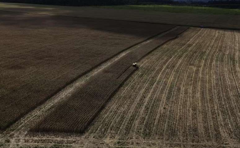 Trator colhe trigo em plantação perto da cidade de Uruara, no Estado do Pará, Brasil
23/04/2013
REUTERS/Nacho Doce 