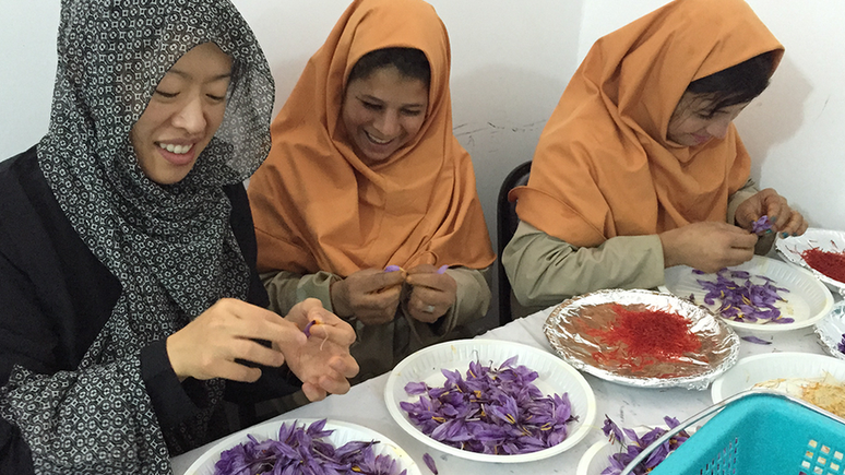 No Afeganistão, 380 mulheres são responsáveis por meticuloso trabalho de extrair tempero de flores em empresa de ex-soldado dos EUA | Crédito: Rumi Spice 