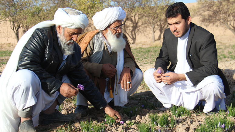 Keith Alaniz (à direita) montou negócio no Afeganistão para comprar açafrão de produtores locais | Crédito: Rumi Spice 