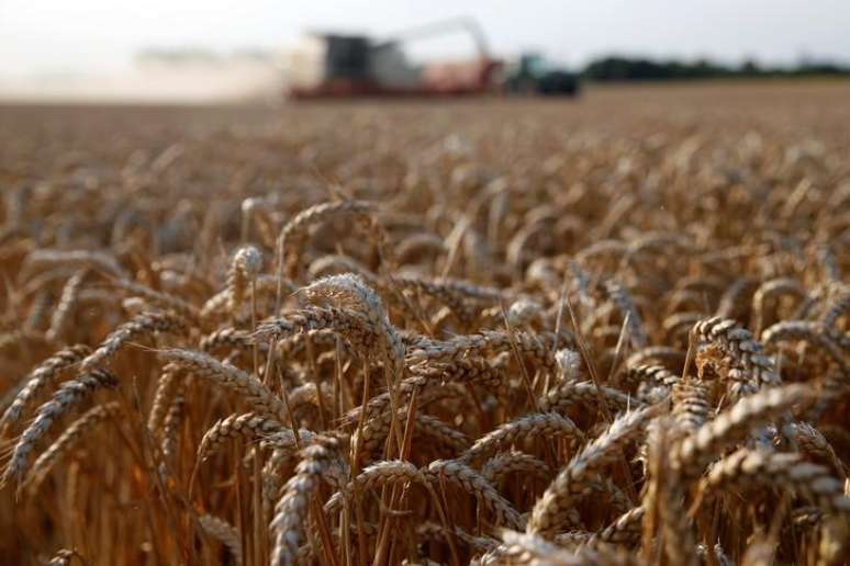 Produtor colhe trigo em Marquion, perto de Cambrai, na França
18/07/2017
REUTERS/Pascal Rossignol
