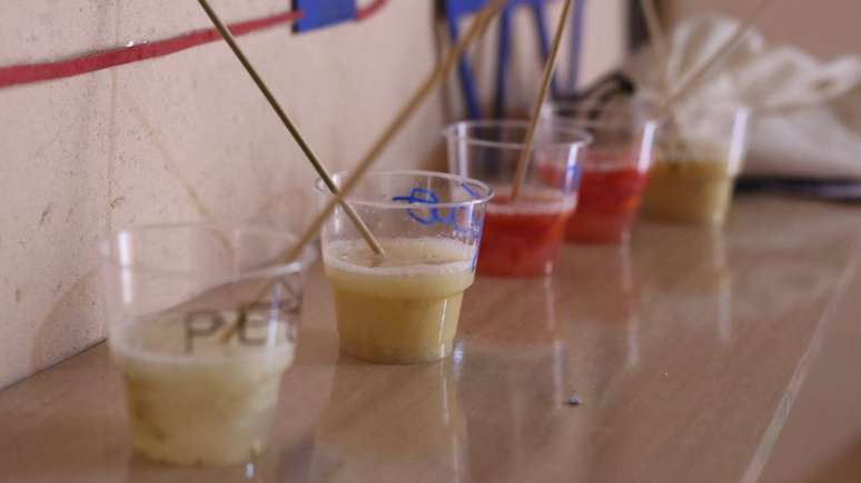 Experimentos de extra&ccedil;&atilde;o de DNA