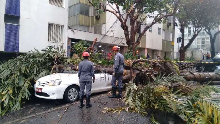 Chuva provocou a queda de árvore sobre carro matando um taxista