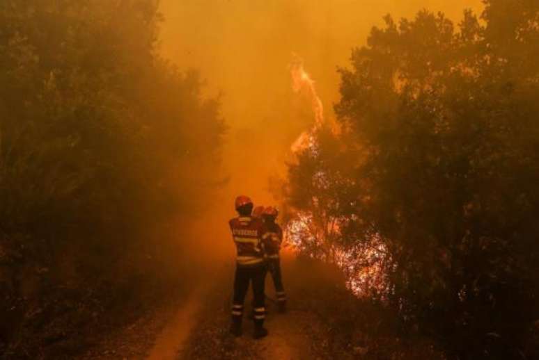 Incêndios em Portugal deixam rastro de mortes e geram onda de solidariedade