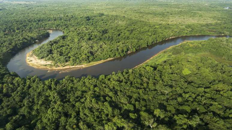 Pesquisadores temem que nova "Lei do Pantanal" aumente devastação do bioma 