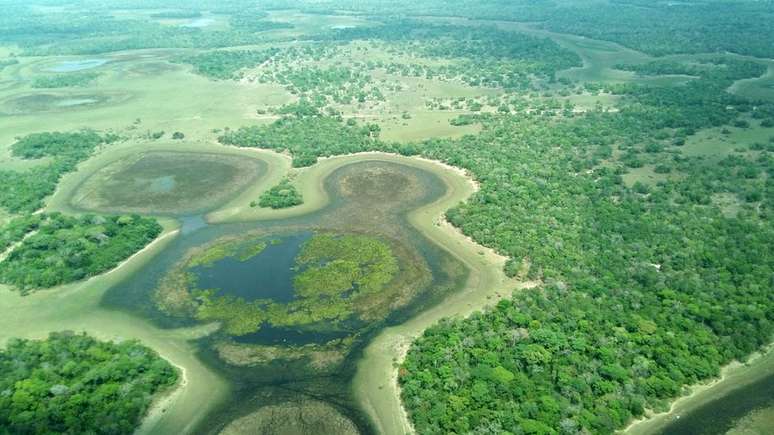 Em razão da dependência do Pantanal com os rios em seu entorno, estudiosos temem que a agricultura e o desmatamento avancem ainda mais nas nascentes da região | Foto: Instituto SOS Pantanal/Divulgação 