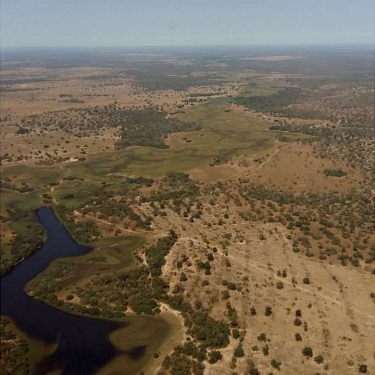 Apenas na área do Pantanal sul-mato-grossense, foram desmatados 70.648 hectares, possivelmente de modo ilegal, em 33 municípios | Instituto SOS Pantanal/ Divulgação 