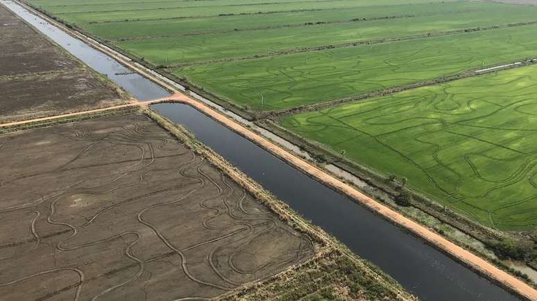 O governador de MS, Reinaldo Azambuja (PSDB), declara que é necessário que os dois Estados que abrigam o Pantanal unifiquem a legislação ambiental | Foto: Instituto SOS Pantanal/Divulgação 