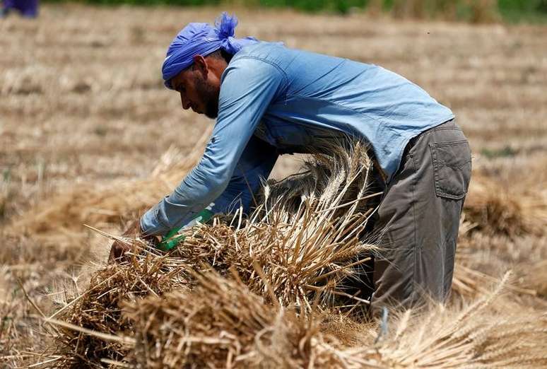Trabalhador colhe trigo em lavoura em El-Menoufia, ao norte do Cairo, Egito
16/5/2017 REUTERS/Mohamed Abd El Ghany