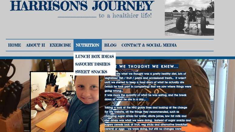 Página web de Harrison