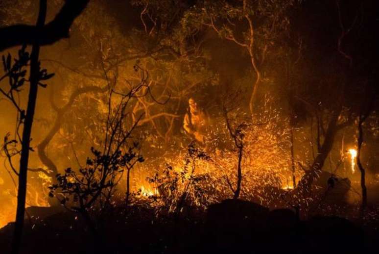 Incêndio que assola a Chapada dos Veadeiros desde o dia 17 de outubro foi criminoso