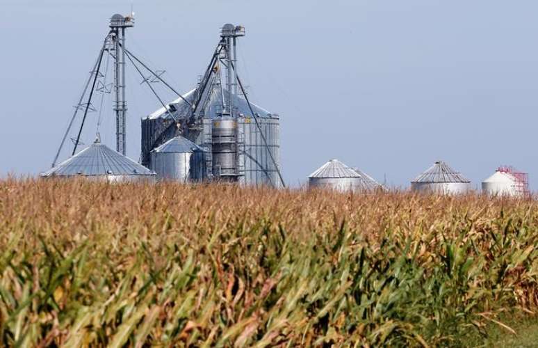 Silos de grãos são vistos em propriedade em Morocco, Indiana
13/9/2016 REUTERS/Jim Young