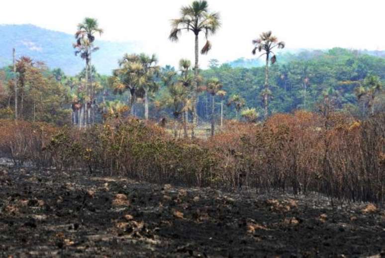 Brigadistas e voluntários trabalham 24 horas por dia para combater o incêndio no Parque Nacional da Chapada dos Veadeiros