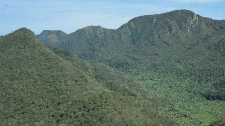 Descoberta foi feita na regi&atilde;o da Serra das Araras | Foto: Divulga&ccedil;&atilde;o