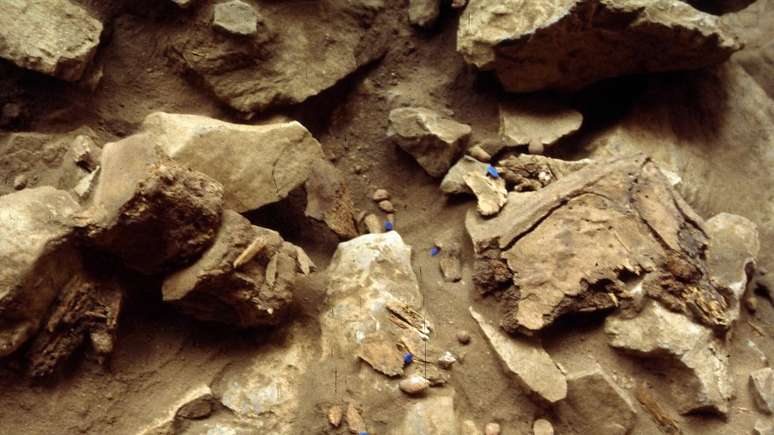 Detalhes das escava&ccedil;&otilde;es; discuss&atilde;o sobre a data de chegada da Humanidade &agrave;s Am&eacute;ricas remete aos tempos de Crist&oacute;v&atilde;o Colombo | Foto: Divulga&ccedil;&atilde;o