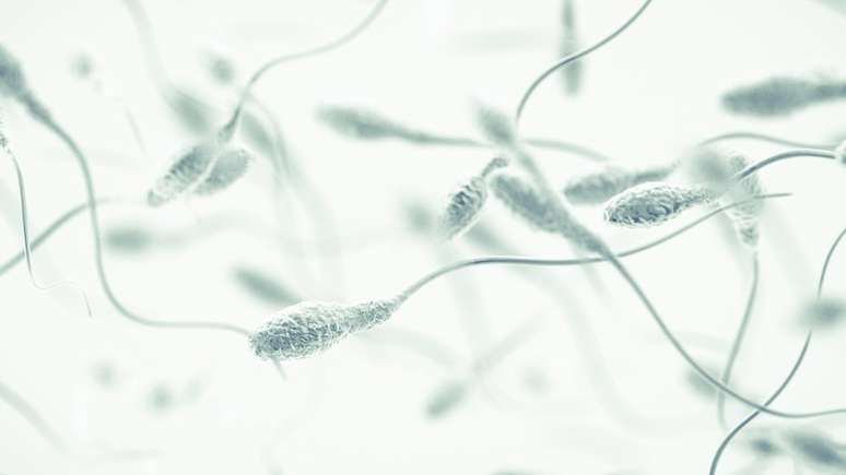 Ap&oacute;s doa&ccedil;&atilde;o, espermatozoides s&atilde;o inseridos nas mulheres com seringas; m&eacute;dica diz que pr&aacute;tica traz riscos